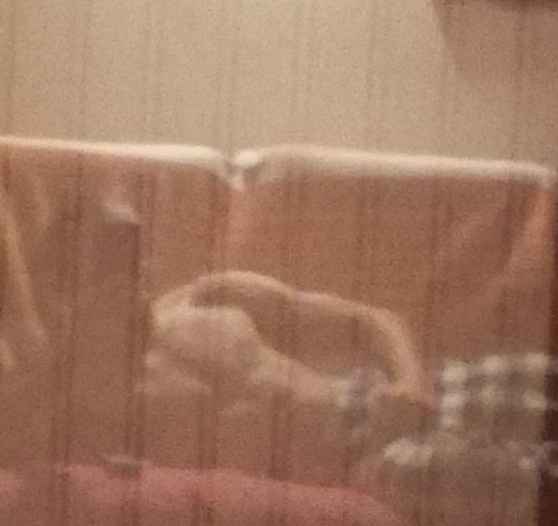 Profil de Housseine, 23 ans, Rencontre Amicale à Pompaples